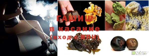 стаф Дмитриев