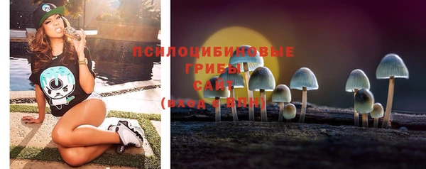 молекула духа Вуктыл