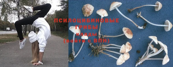 spice Ельня