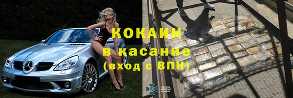 стаф Дмитриев