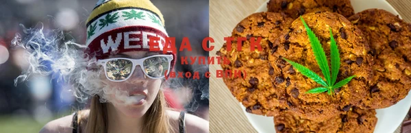 spice Ельня