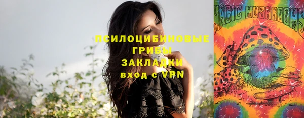 меф Дмитровск