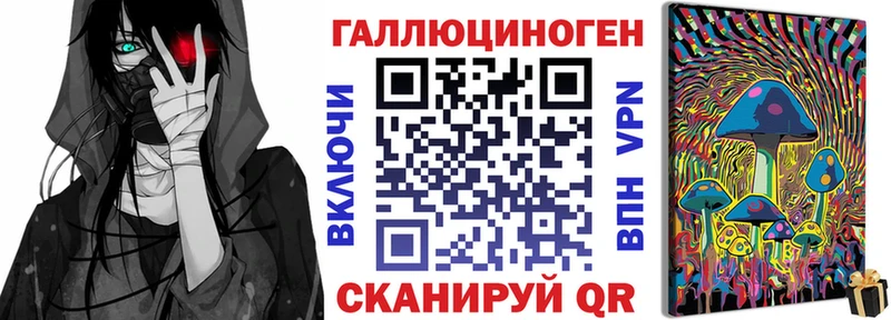 закладка  Иннополис  Псилоцибиновые грибы GOLDEN TEACHER 